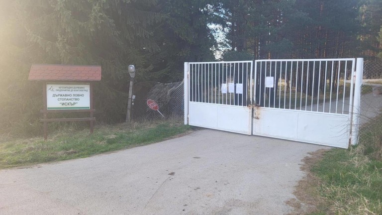 Изображение 659504