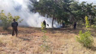 Голям горски пожар бушува край Свиленград съобщава bTV Между селата