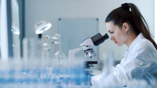 Бизнес за над четвърт милиард лева годишно са дейностите свързани