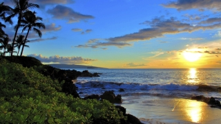 Ако тази година се надявате на лятна ваканция в Хавай