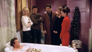 Приятели започва да се излъчва още през 1994 г и