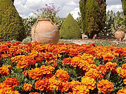 Ботаническата градина в Балчик се хвали с гости 