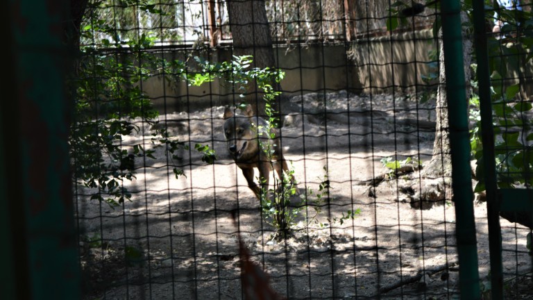 Изображение 540605