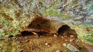 Министърът на околната среда и водите Борислав Сандов издаде заповед