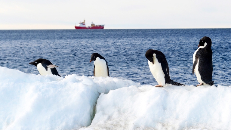 Ледът на Антарктида намалява