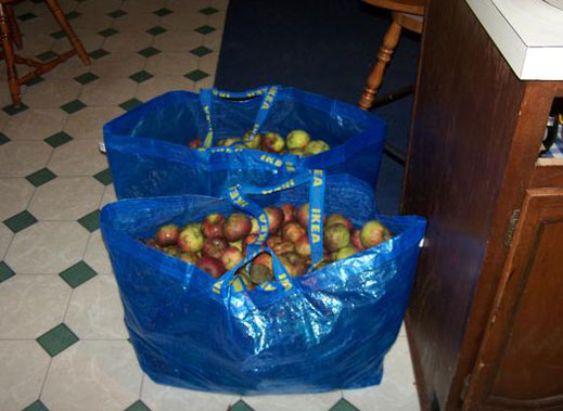 В Пазарджик насърчават използването на биоразградими торбички