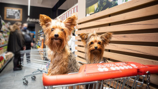 Maxi Pet скоро отваря врати за всички домашни любимци в София