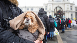 Над €175 милиона "печалба" от украинските бежанци за първата половина на годината отчита Чехия