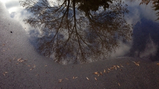 Обявено е частично бедствено положение на територията на Лом и