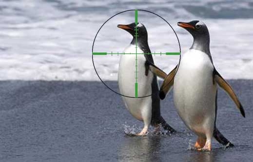 Снайперисти защитават австралийските пингвини
