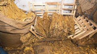Полицията откри над тон нарязан тютюн за 250 000 лв. в къща в Добричко