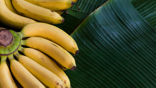За какво да използваме обелките от банани 