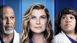 От доста време се спекулира с бъдещето на Анатомията на Грей