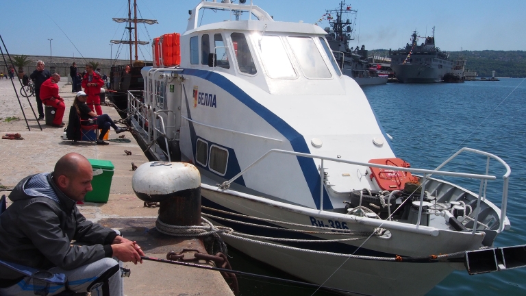 Изображение 233205