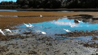 Министерството на туризма пусна нов видеоклип който показва Румъния като