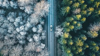 Красотата на света от птичи поглед