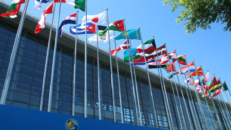 Изображение 293705