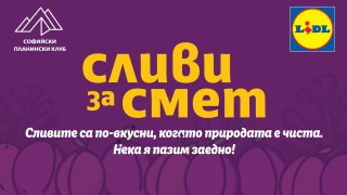 За осма поредна година Софийски планински клуб организира инициативата Сливи