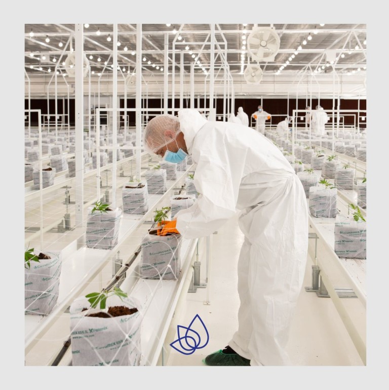 Заводът на TikunOlam Europe