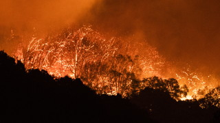 Горските пожари в Калифорния изгориха рекордна площ