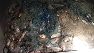 Инспектори от Изпълнителна агенция по рибарство и аквакултури ИАРА извършиха