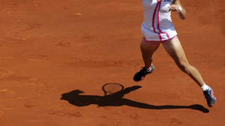 Сушата и пороите прогониха птиците по Дунав