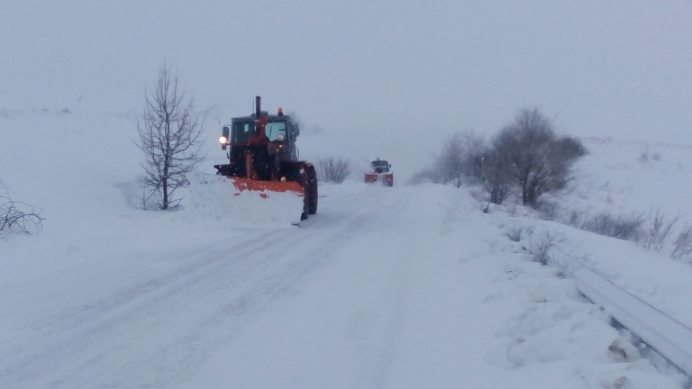 Изображение 216305