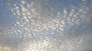 Днес ще бъде предимно слънчево дневните температури ще се повишават През