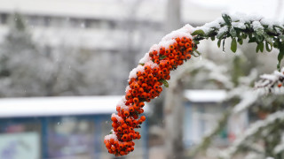 Националният институт по метеорология и хидрология НИМХ издаде за събота