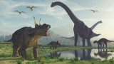 Земята, новооткритото масово изчезване на видовете и как е помогнало на динозаврите