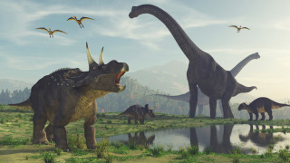 Основната теория за изчезването на динозаврите преди 66 милиона година