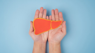 Човешкият черен дроб остава млад дори докато останалата част от