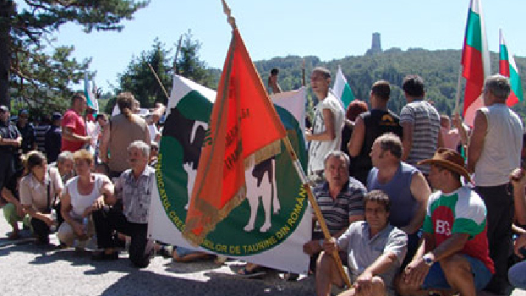 Изображение 56705