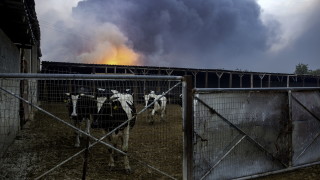Пожарникарите в Гърция се борят с пожара горящ вече 10 ти