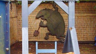 Българите сме свикнали с дупките по пътищата от огромни ями до