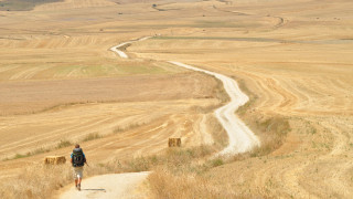 Всяка година в продължение на векове всяко лято стотици
