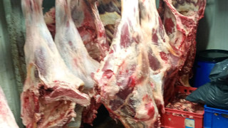 Разкриха незаконна кланица в град Дебелец При внезапна проверка по сигнал