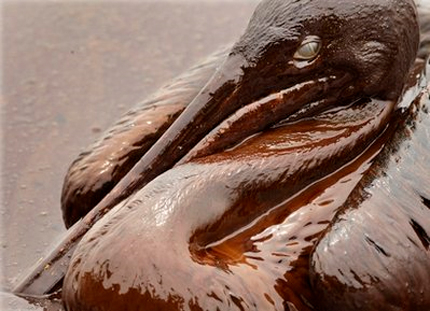 Птица, застинала в петрол: Снимка на отчаяно лято
