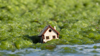 Как да предотвратим махмурлука след имотния купон