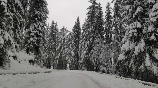 Снегът затвори и прохода "Петрохан"
