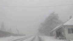 Пътищарите: Падна първият сняг, а Комитова още не е подала оставка