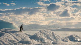 Надвисналата заплаха от Антарктика