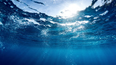Световният океан е по-топъл от всякога
