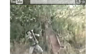 Елен разката ловеца, който го прострелял (видео)