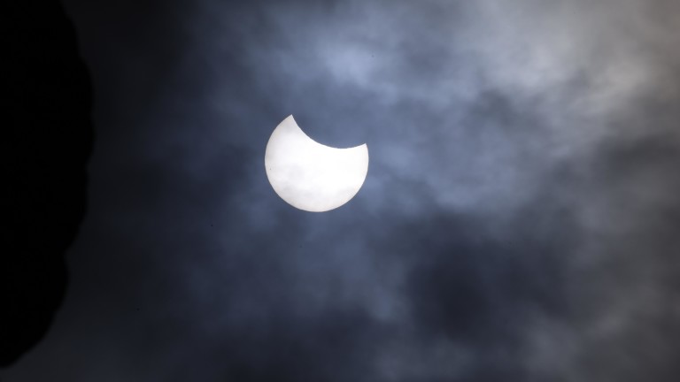 Изображение 710006