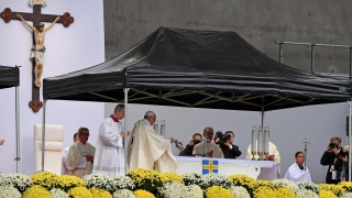 Папата призова за единство на католици и лутерани в Швеция