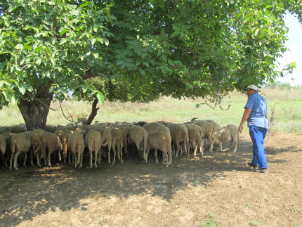 Полицията получава повече свободи при тараш на лични вещи и помещения