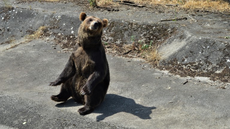 Изображение 540606