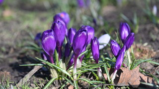 Слънце се показва през облаците