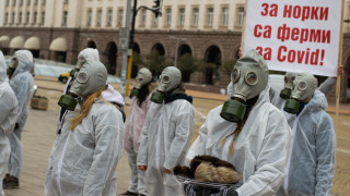 105 учени експерти и организации поискаха затваряне на фермата за